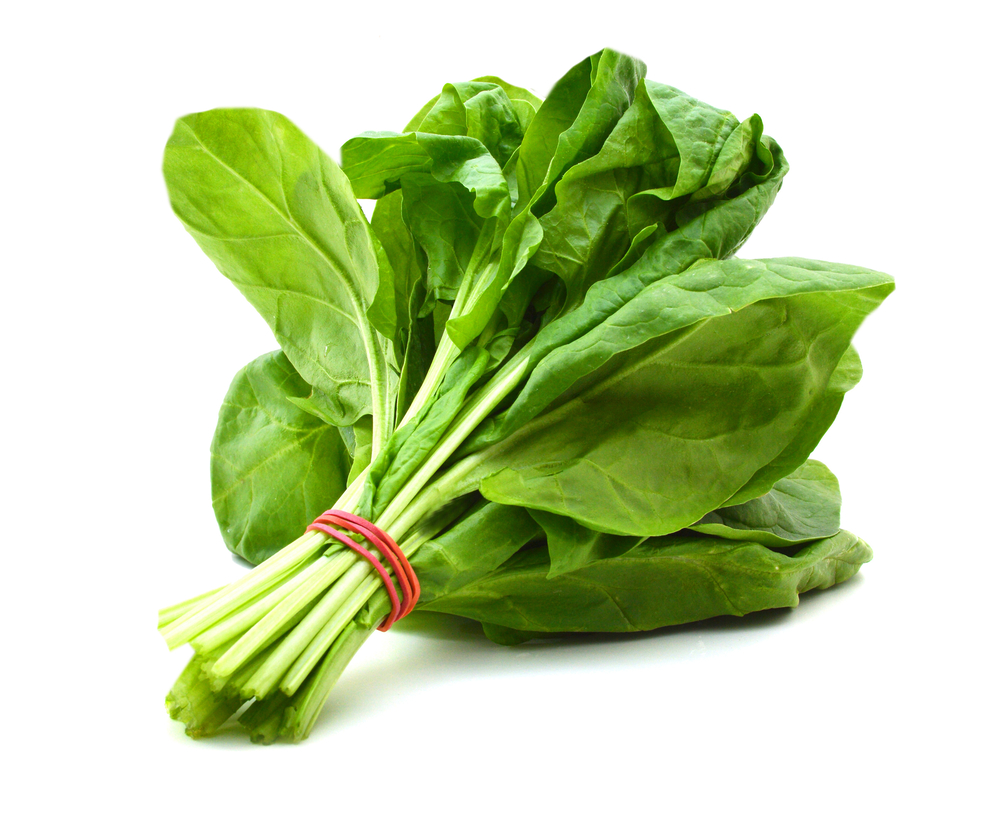 http://www.kineticsnj.com/wp-content/uploads/2016/04/spinach.jpg